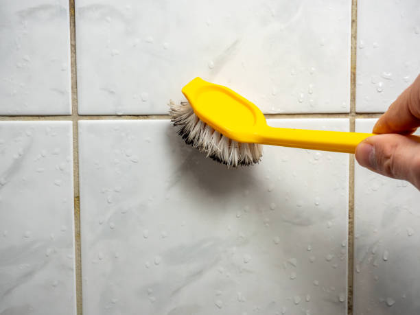 Mold Testing and Removal in Cross Plains, TX