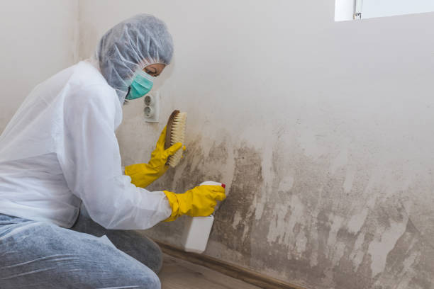Crawl Space Mold Removal in Cross Plains, TX